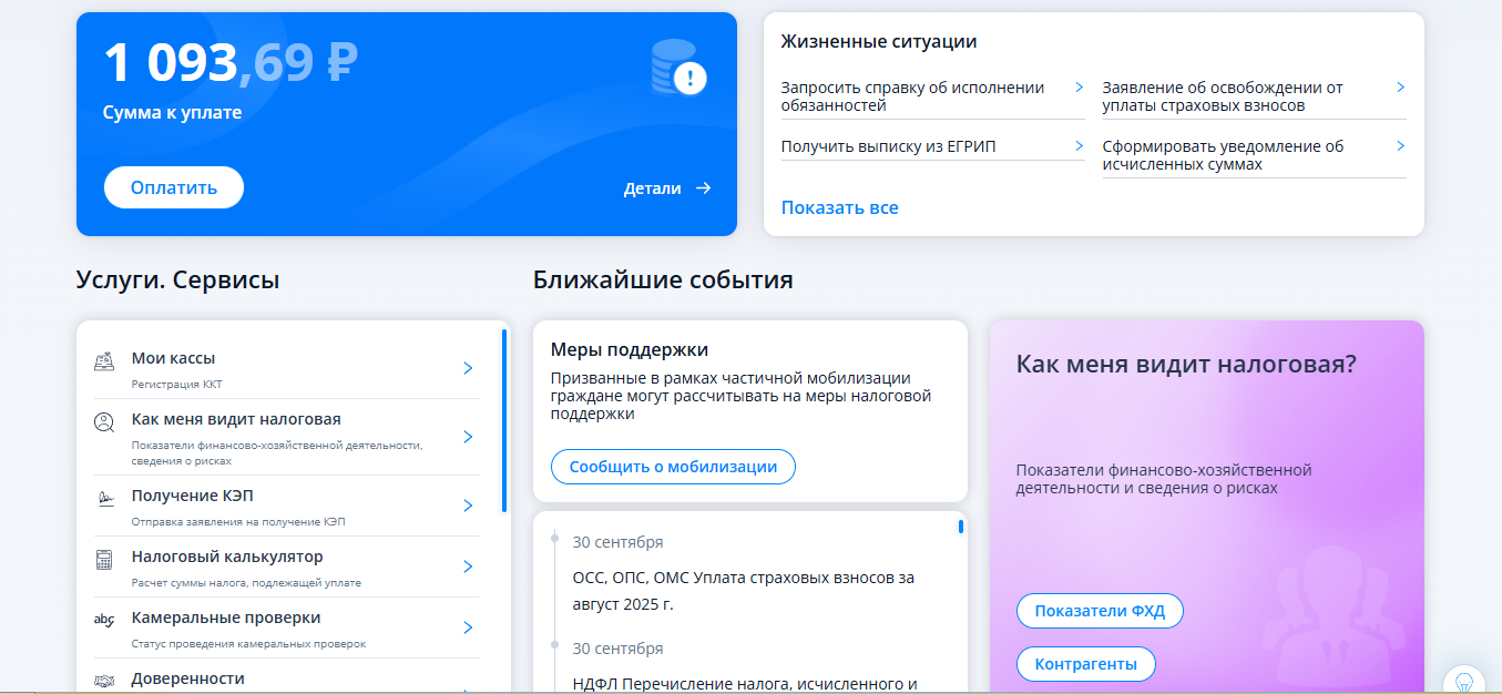 Личный кабинет ИП